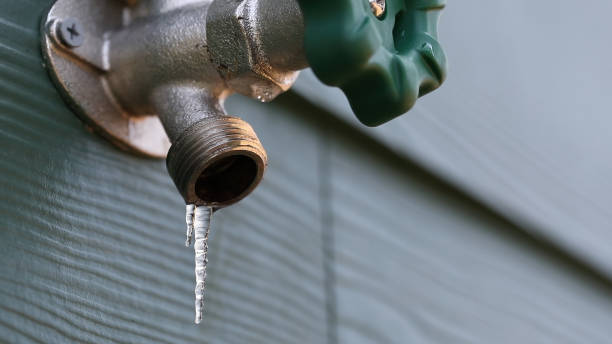 Best Shower Repair Services  in Frazier Park, CA